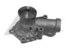 MITSUBISHI 1300A065 Water Pump